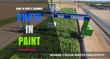 Cropping Scanned Photos in Paint: A Simple Step-by-Step Guide