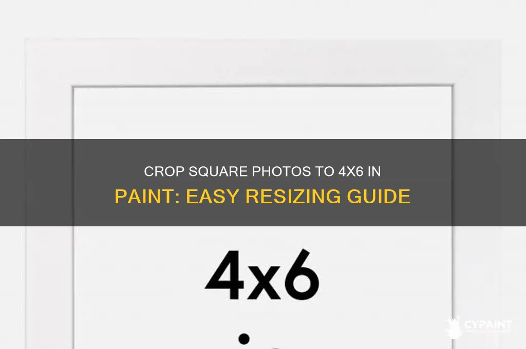 how to crop a square photo to 4x6 in paint