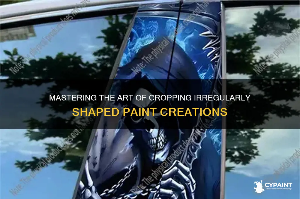 how to crop an abnormal shape paint