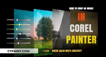 Mastering Image Cropping in Corel Painter: A Step-by-Step Guide