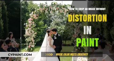 Cropping Images: Paint Tool Tips to Avoid Distortion