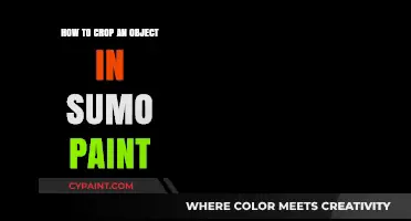 Master Cropping Objects in Sumo Paint: A Step-by-Step Guide