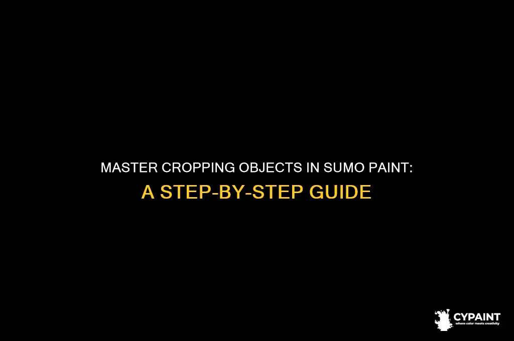 how to crop an object in sumo paint