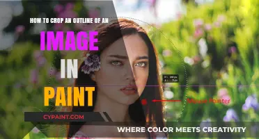 Cropping Image Outlines in Paint: A Step-by-Step Guide