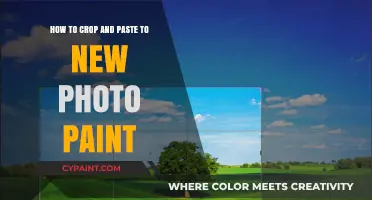 Crop and Paste Like a Pro in New Photo Paint