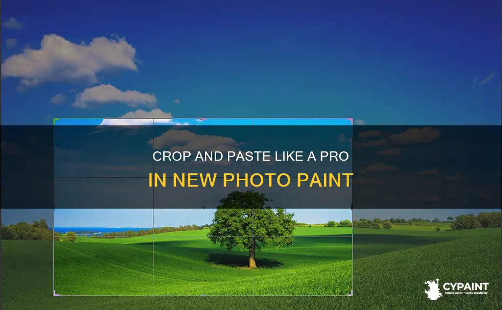 how to crop and paste to new photo paint