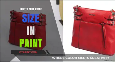 Mastering Paint: Crop Images to Exact Size Effortlessly