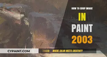Cropping Images in Paint 2003: A Simple Step-by-Step Guide