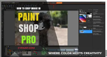 Mastering Image Cropping in Paint Shop Pro: A Step-by-Step Guide