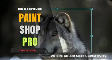 Master Cropping in Jasc Paint Shop Pro: A Step-by-Step Guide