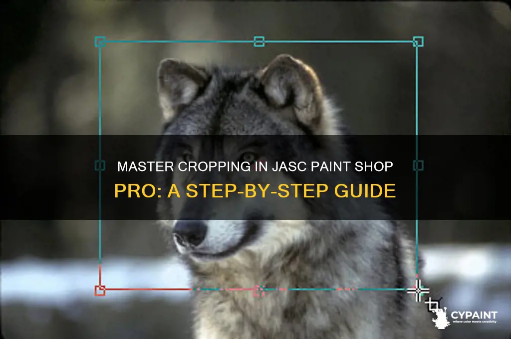 how to crop in jasc paint shop pro