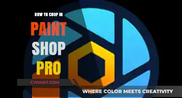 Mastering Image Cropping in PaintShop Pro: A Step-by-Step Guide