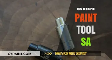 Mastering Image Cropping in Paint Tool SAI: A Step-by-Step Guide