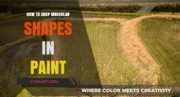 Mastering Irregular Shape Cropping in Paint: A Step-by-Step Guide