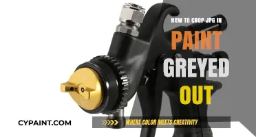 Fixing Paint's Crop Tool Greyed Out for JPG Images