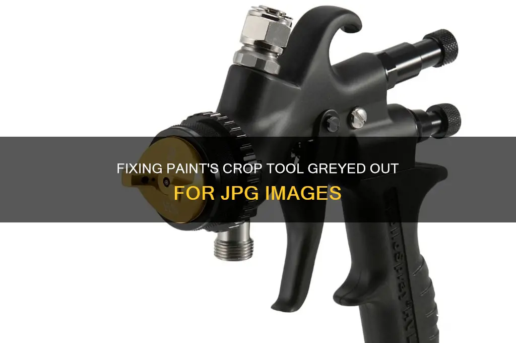 how to crop jpg in paint greyed out