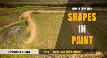 Mastering Odd Shape Cropping in Paint: Creative Tips and Tricks