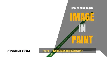 Cropping Round Images in Paint: A Simple Step-by-Step Guide