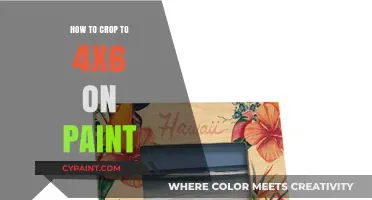 Master Cropping Photos to 4x6 in Paint: A Quick Guide