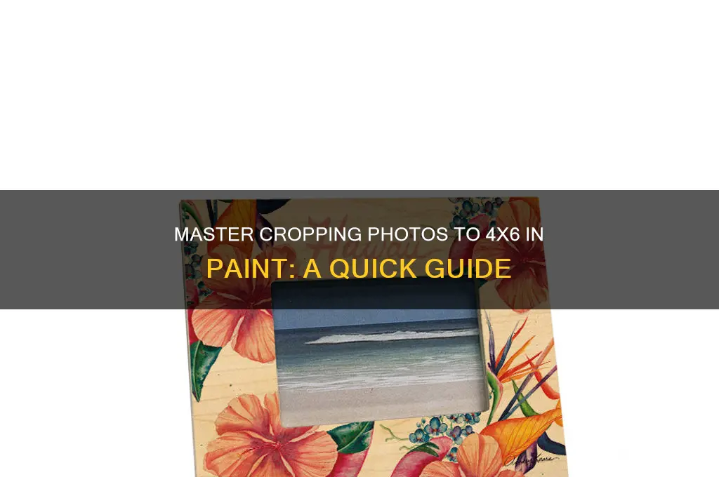 how to crop to 4x6 on paint
