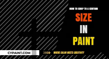 Cropping Images to Precise Dimensions in Paint