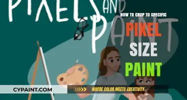 Cropping Images to Exact Pixel Dimensions in Paint: A Step-by-Step Guide