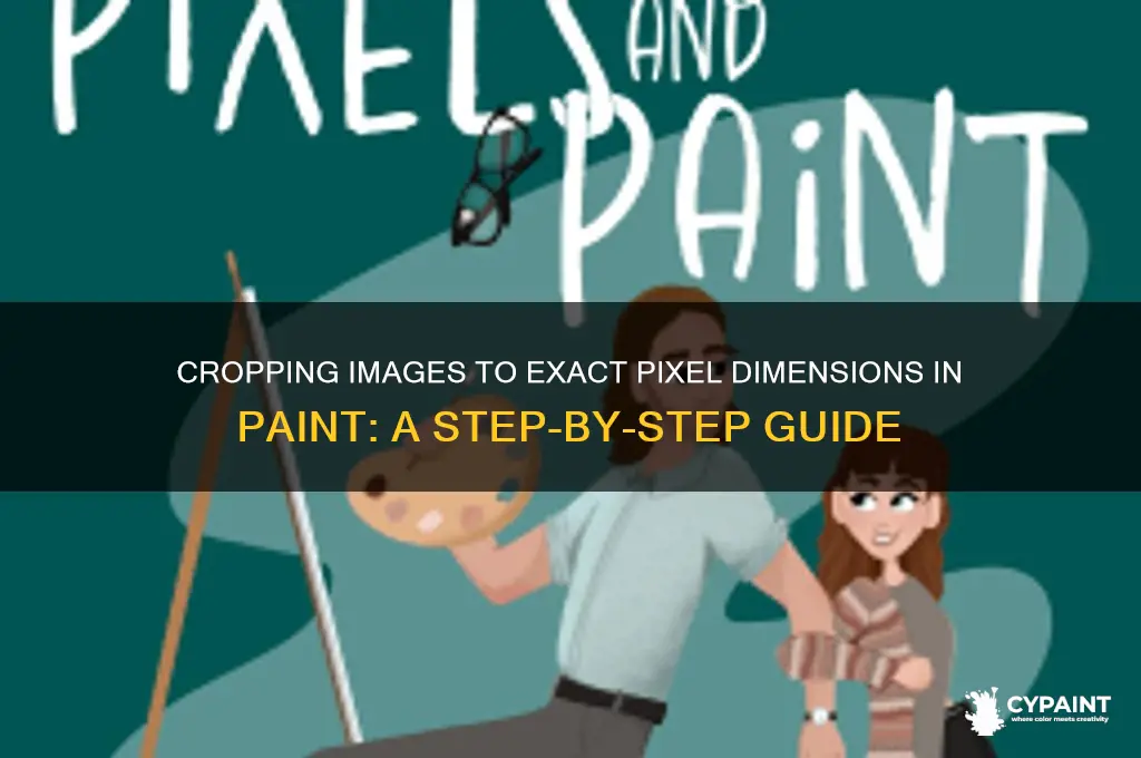 how to crop to specific pixel size paint