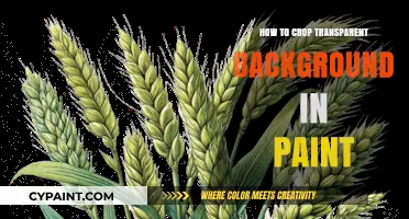 Mastering Paint: Cropping Images with Transparent Backgrounds Easily