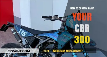 Custom Paint Your CBR 300: Step-by-Step Guide to a Unique Look