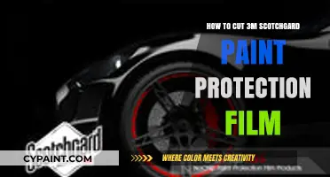 Mastering the Art of Cutting 3M Scotchgard Paint Protection Film