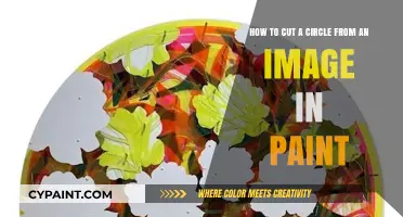 Cutting Perfect Circles from Images in Paint: A Step-by-Step Guide
