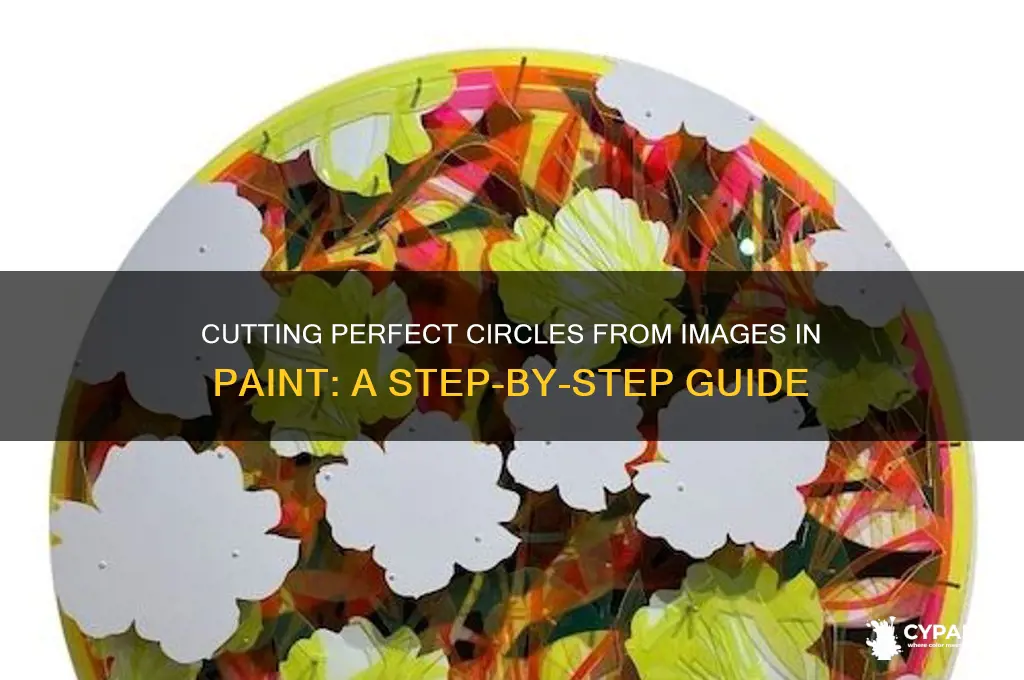 how to cut a circle from an image in paint