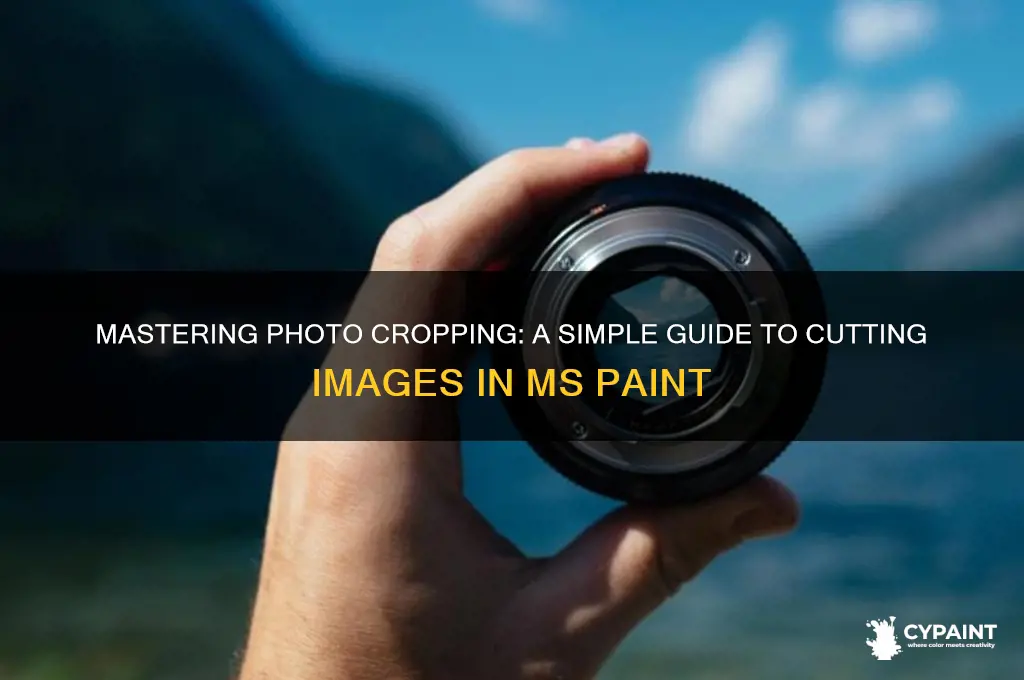 how to cut a photo in ms paint