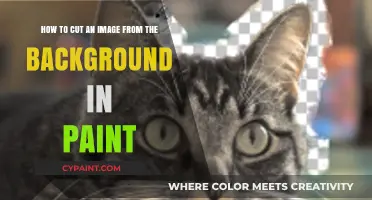 Master Background Removal: Cutting Images in Paint Made Easy