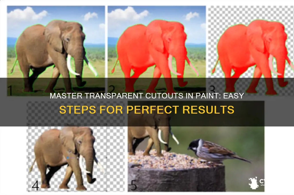 how to cut an item in paint and be transparent