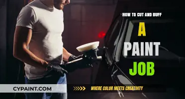 Mastering Paint Perfection: Cutting and Buffing Techniques for a Flawless Finish