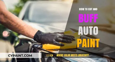 Master Auto Paint Cutting and Buffing: A Step-by-Step Guide