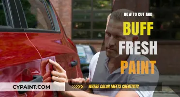 Mastering the Art of Cutting and Buffing Fresh Paint: A Step-by-Step Guide