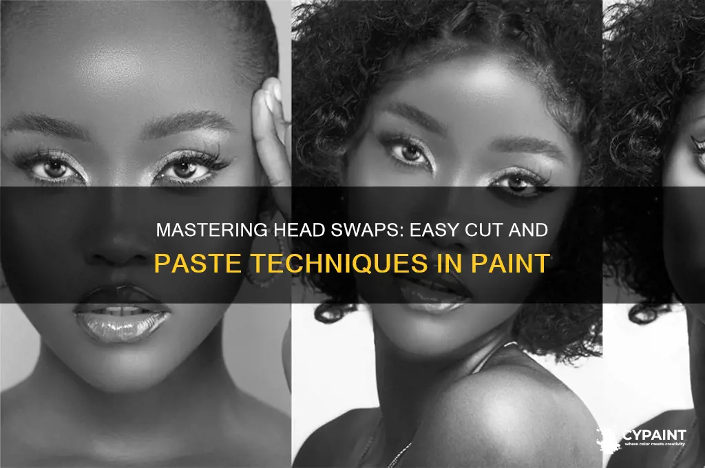 how to cut and paste heads in paint