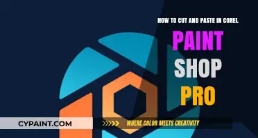 Mastering Cut and Paste Techniques in Corel Paint Shop Pro