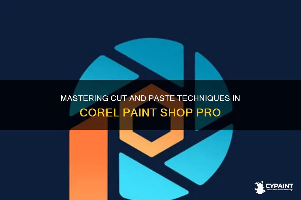 how to cut and paste in corel paint shop pro