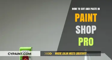 Mastering Cut and Paste in Paint Shop Pro
