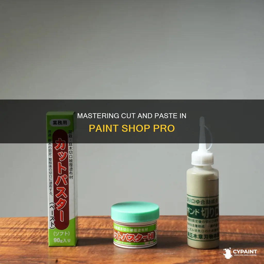 how to cut and paste in paint shop pro