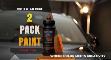 Mastering the Art of Cutting and Polishing 2 Pack Paint