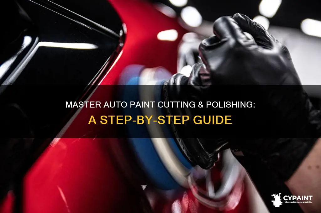 how to cut and polish auto paint