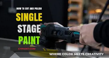 Mastering Single-Stage Paint: Cutting and Polishing Techniques for a Flawless Finish