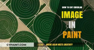 Mastering Circular Image Cropping in Paint: A Step-by-Step Guide