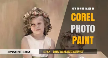 Mastering Image Cropping in Corel Photo-Paint: A Step-by-Step Guide