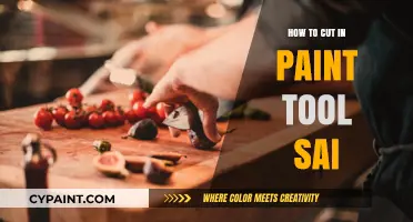 Mastering Paint Tool SAI: A Beginner's Guide to Cutting Techniques