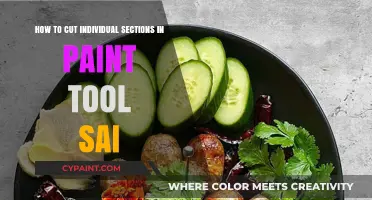 Cutting Sections in Paint Tool Sai: A Step-by-Step Guide